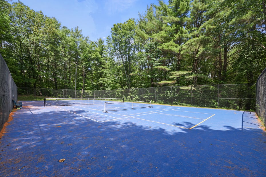 105 Harrington Rd Photo 63