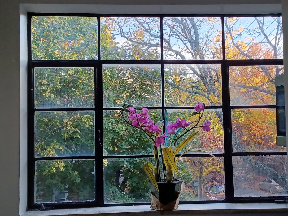 1774 Pitman Avenue Photo 6