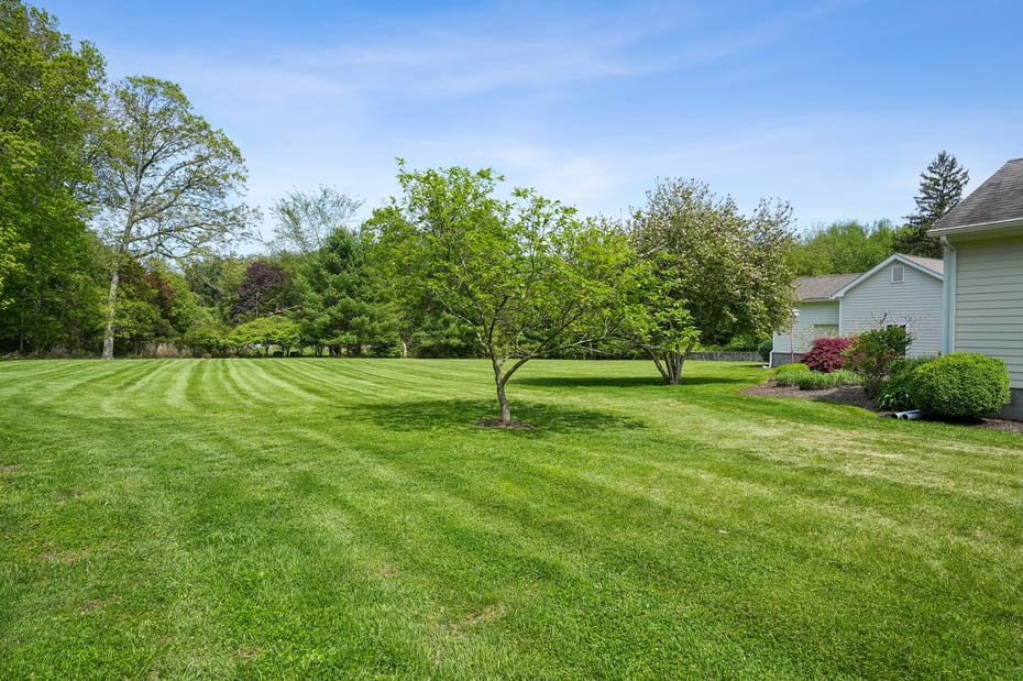 762 Sport Hill Road Photo 5