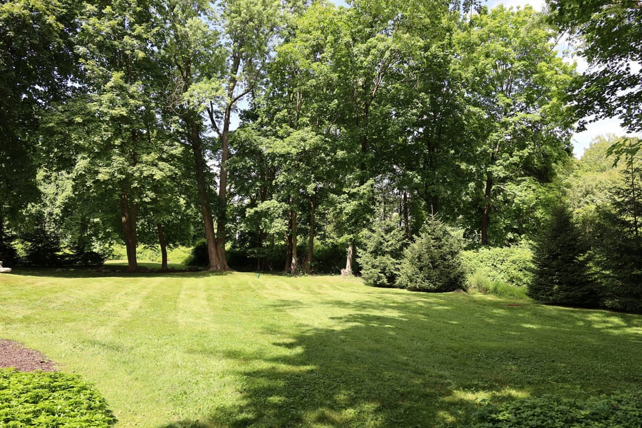 44 East Ridge Road Photo 8