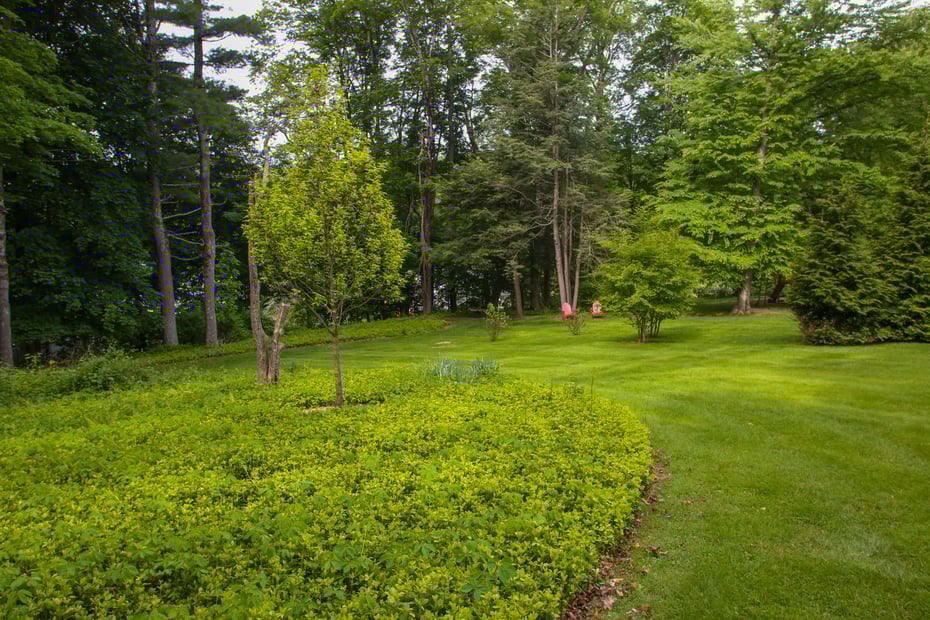 15 Lakeview Avenue Photo 33