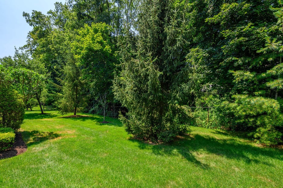 15 Caldwell Terrace Photo 14