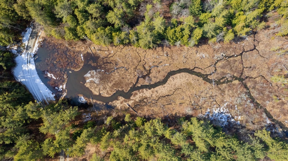 13191 Route 22 Stop #80 Photo 4