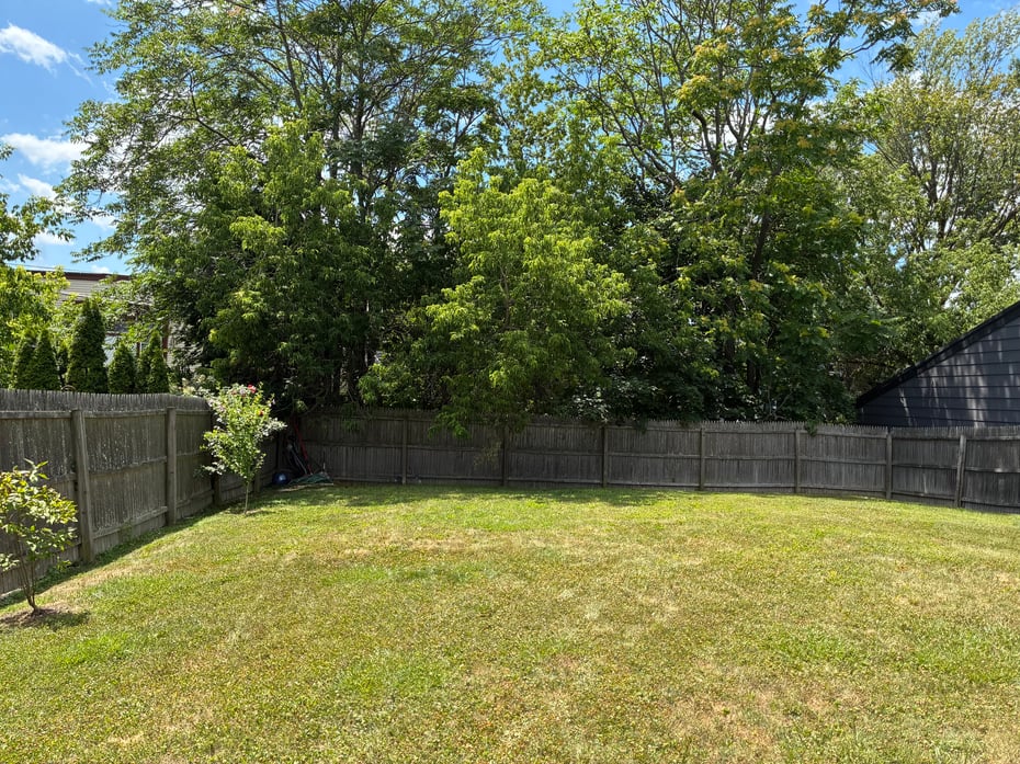 519 Prospect Street Photo 18