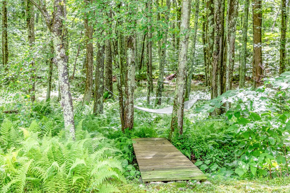 50 Southbury Road Photo 7