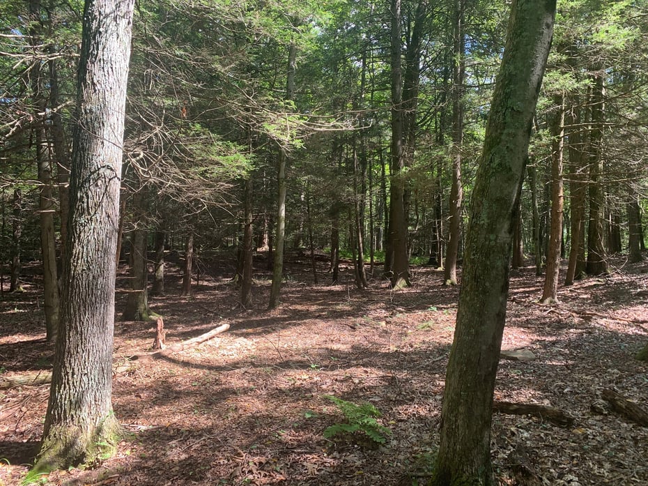 Lot 1 Chalybes Road West Photo 5