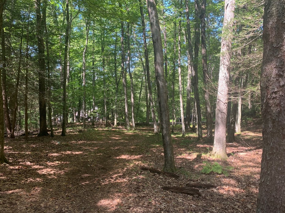 Lot 1 Chalybes Road West Photo 7