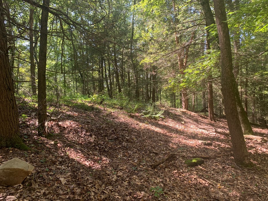 Lot 1 Chalybes Road West Photo 8