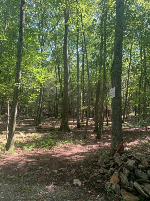 Lot 1 Chalybes Road West Photo 9