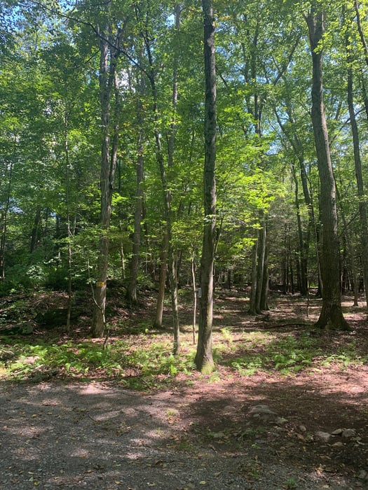 Lot 1 Chalybes Road West Photo 10