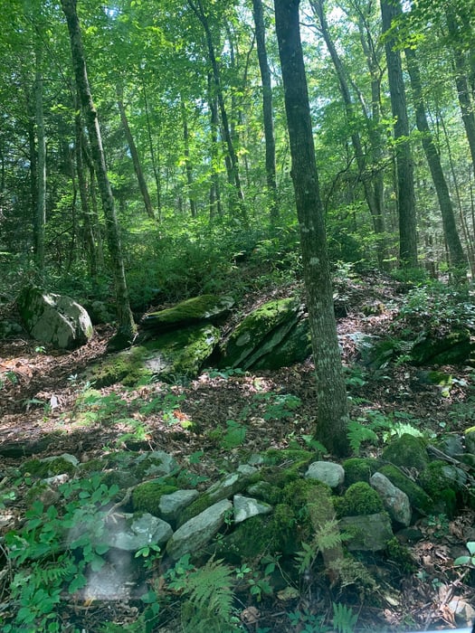 Lot 1 Chalybes Road West Photo 11