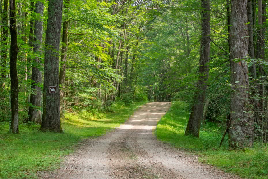 19 Roberts Rd Photo 14