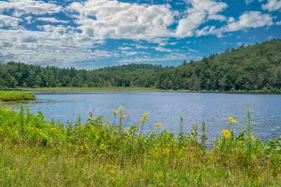 19 Roberts Rd Photo 31