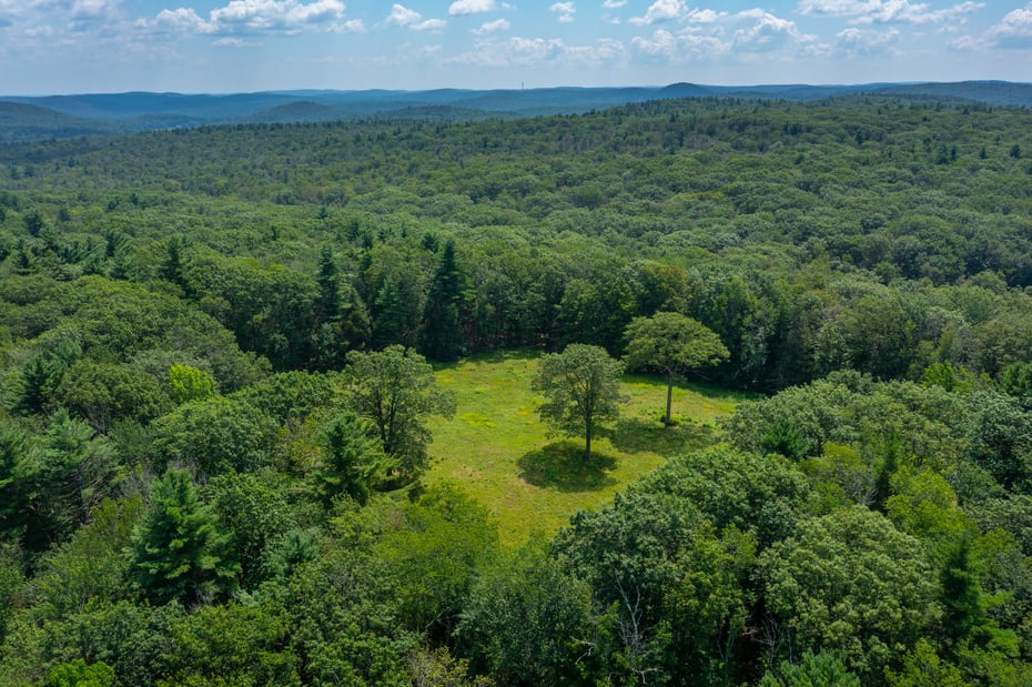 19 Roberts Rd Photo 33