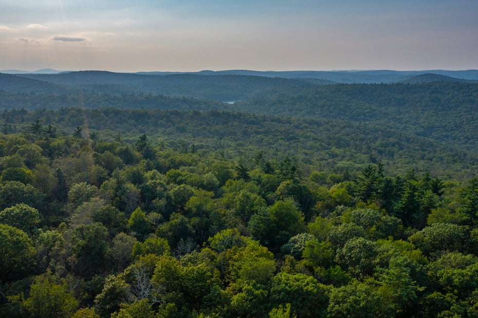 19 Roberts Rd Photo 12