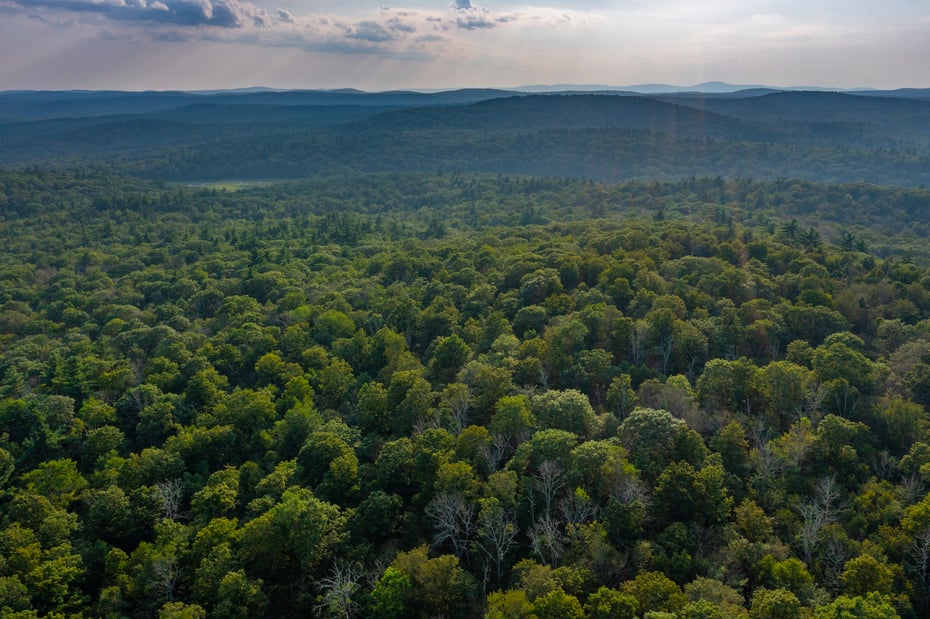 19 Roberts Rd Photo 11