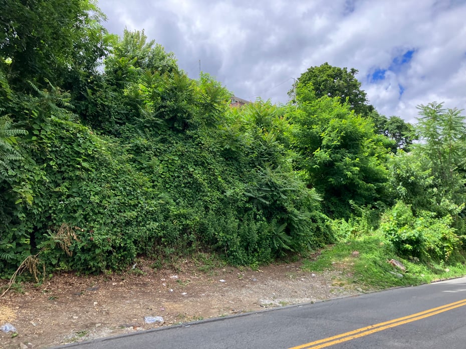 127 -133 Frederic Street Photo 2