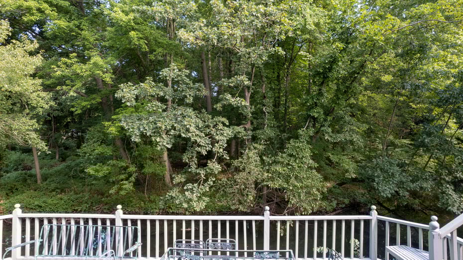 6 Love Lane Photo 33