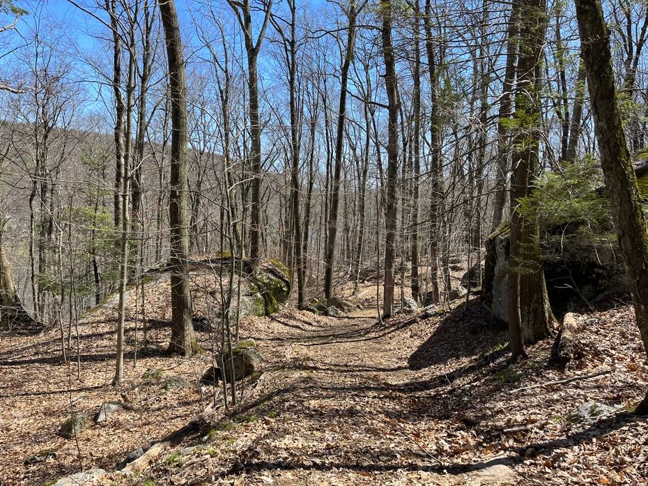 Wagon Wheel Road Photo 18