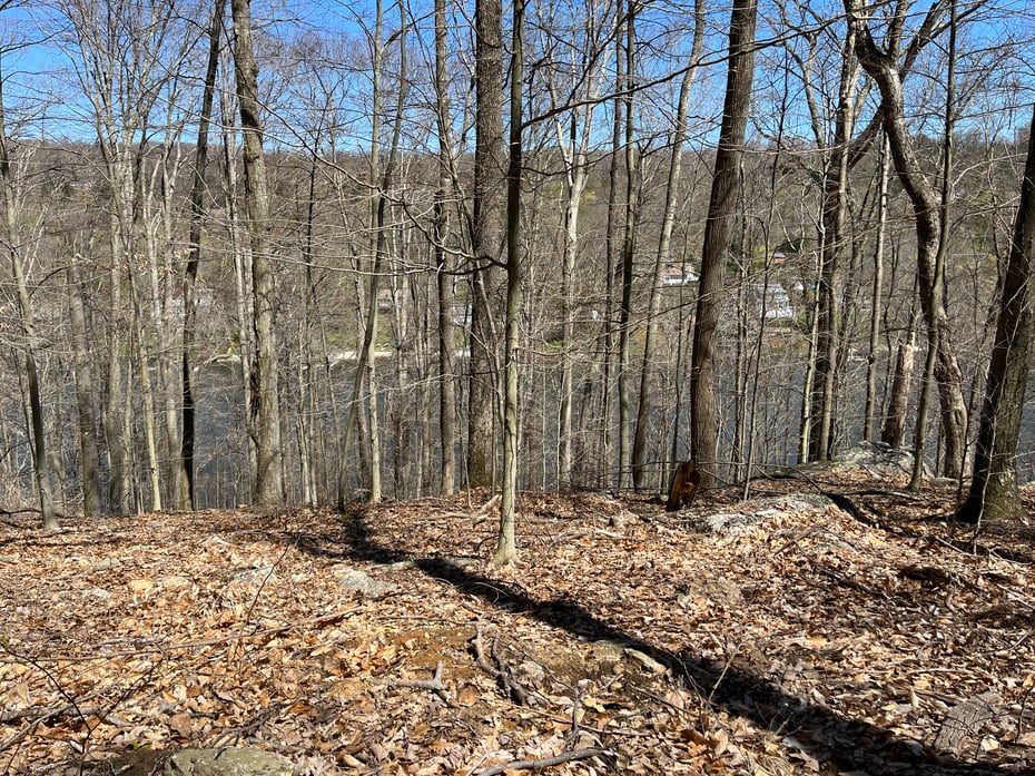 Wagon Wheel Road Photo 19