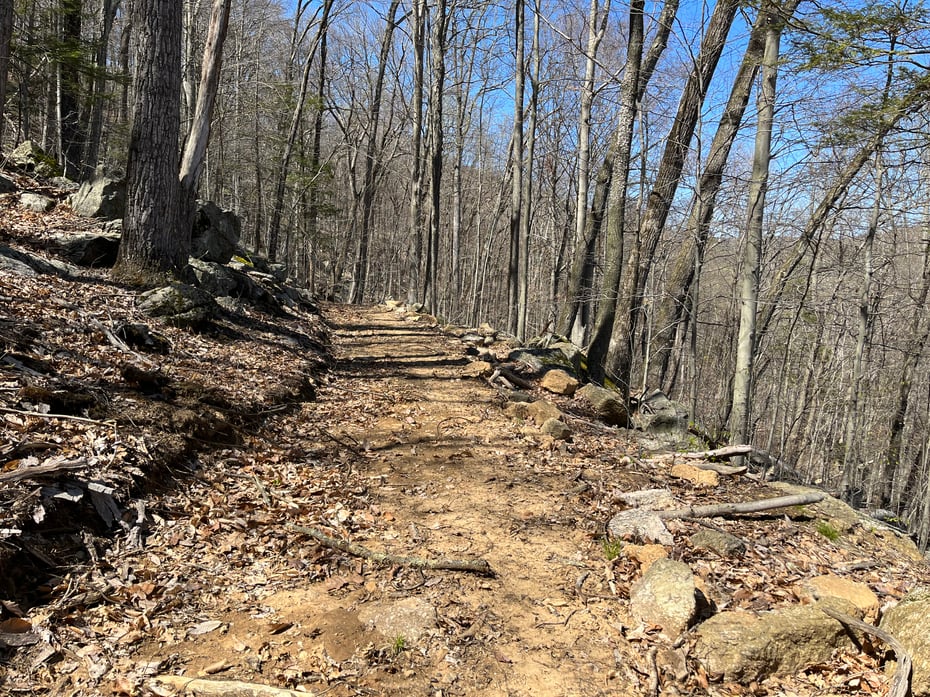 Wagon Wheel Road Photo 23