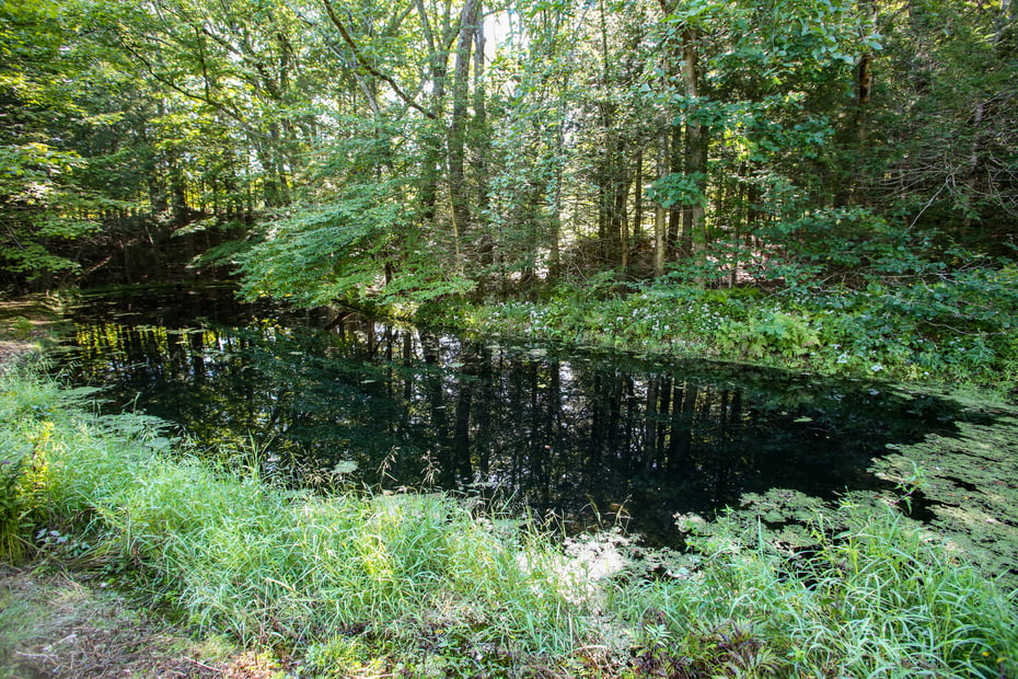 240 Beldingville Rd Photo 37