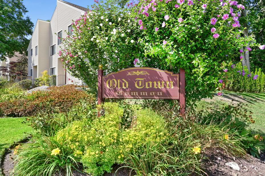 81 Lance Circle #81 Photo 22