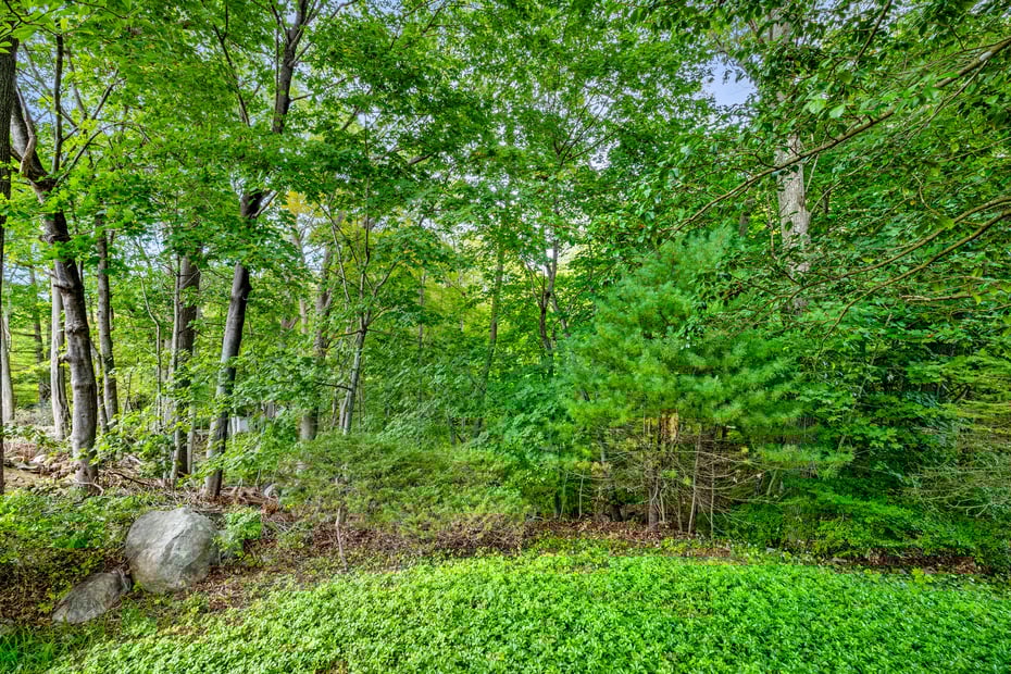 6 Fulmore Drive Photo 37