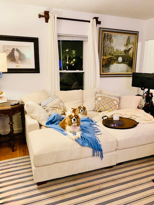 51 Pearl Street Photo 6