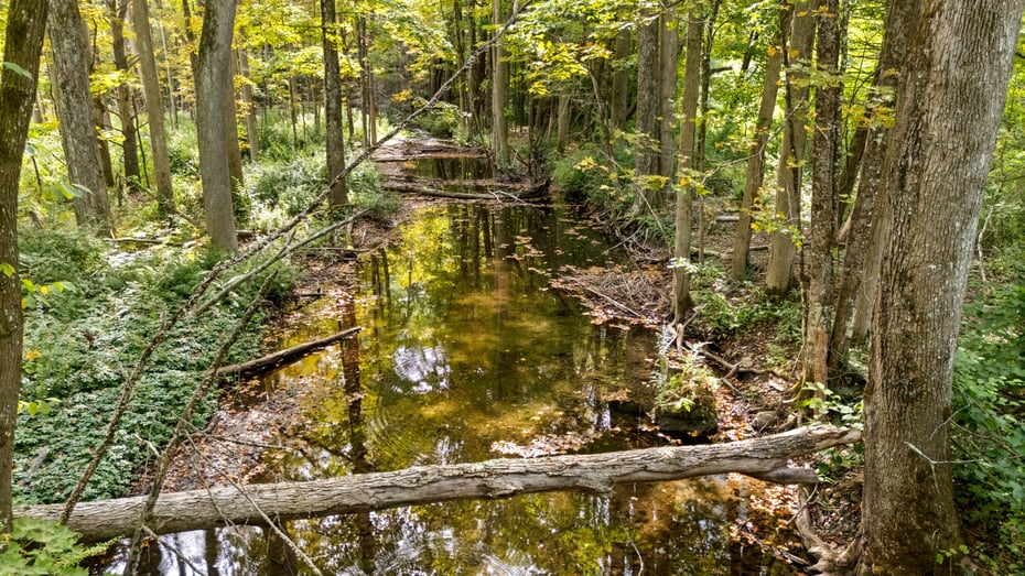 416 West Rd Photo 12