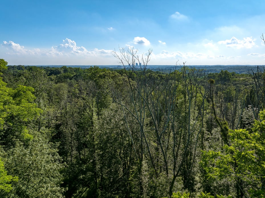 0 Barnes Lane Photo 2