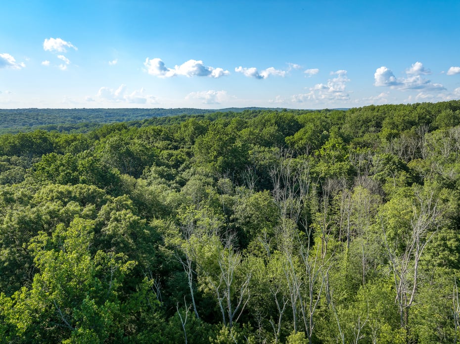 0 Barnes Lane Photo 1