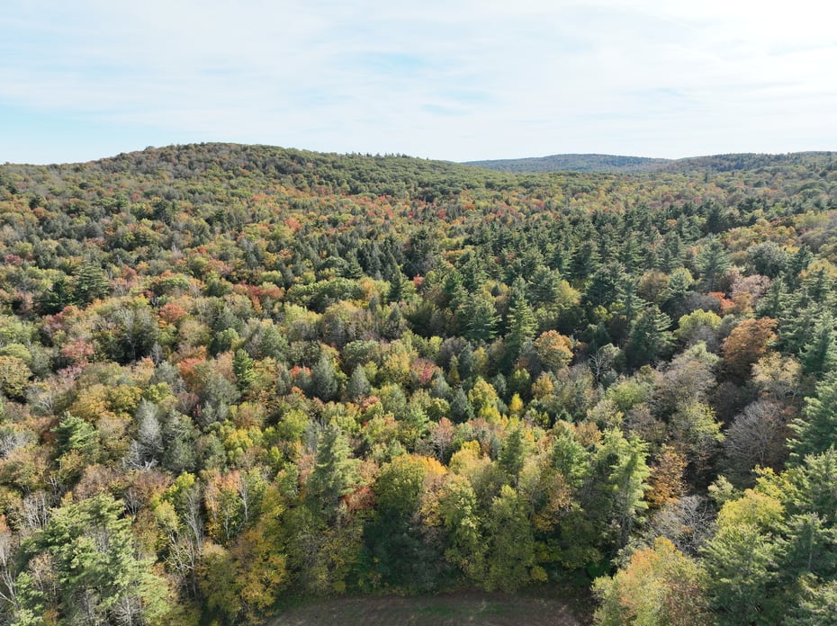 000000 Norfolk Road Photo 3