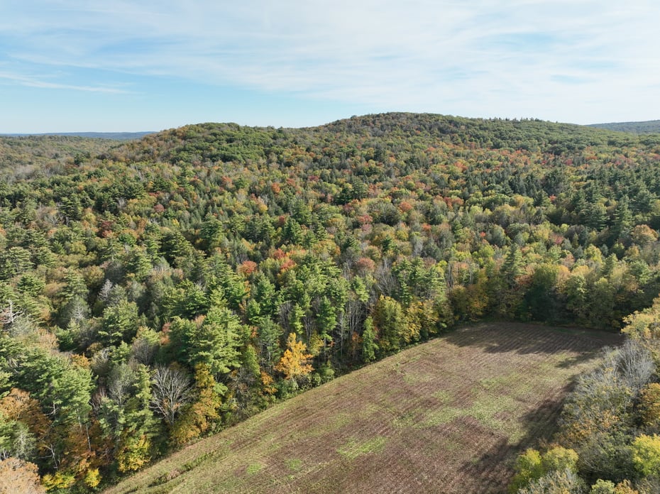 000000 Norfolk Road Photo 4