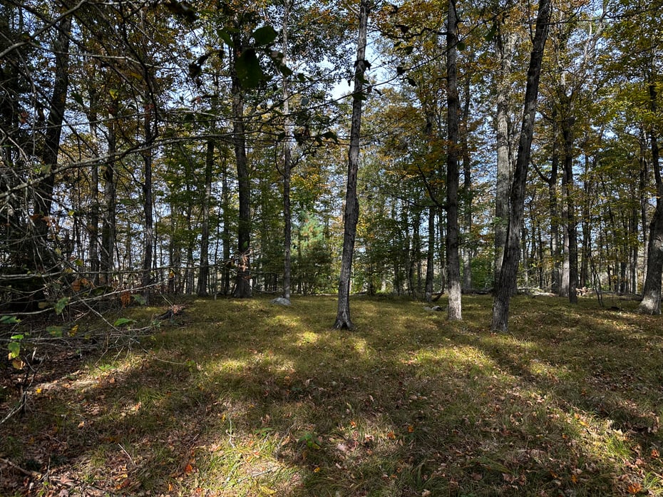 000000 Norfolk Road Photo 10