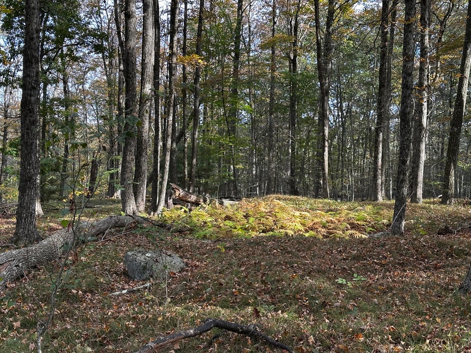 000000 Norfolk Road Photo 12