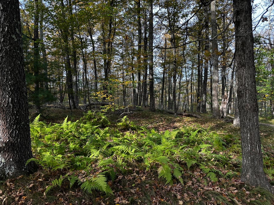 000000 Norfolk Road Photo 14