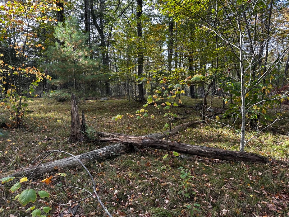 000000 Norfolk Road Photo 15