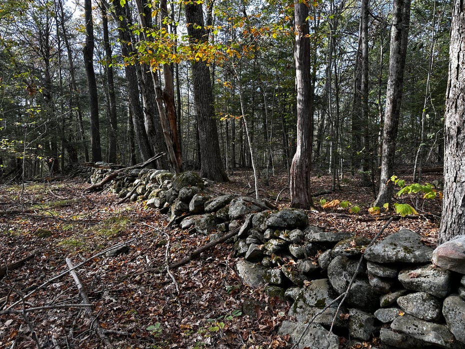 000000 Norfolk Road Photo 21