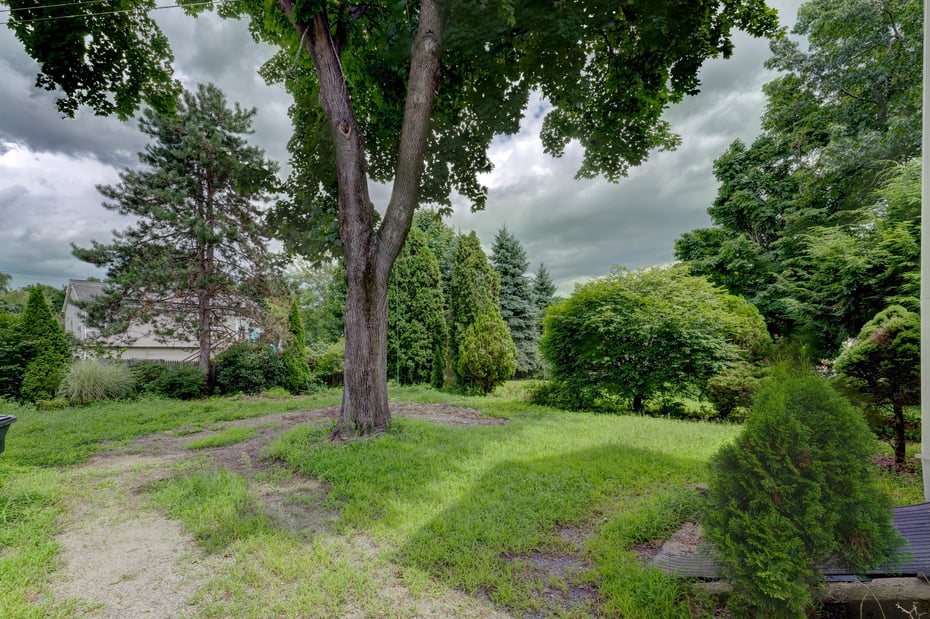 40 Mortimer Street  #3 Photo 17