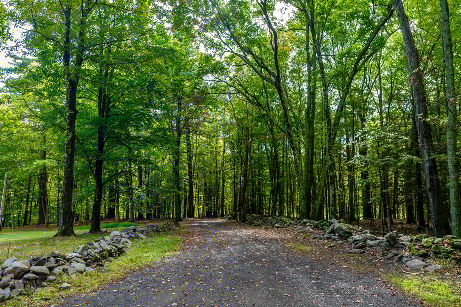 39 Hornbeck Lane Photo 21