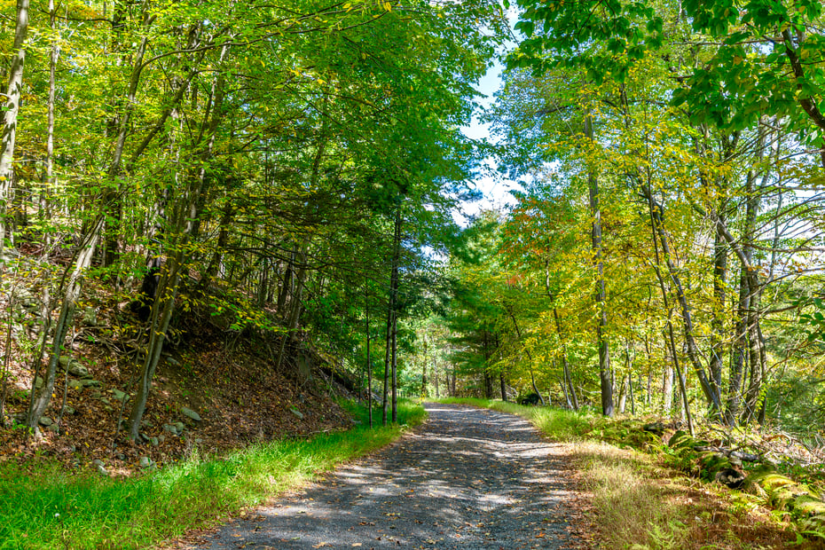 39 Hornbeck Lane Photo 22