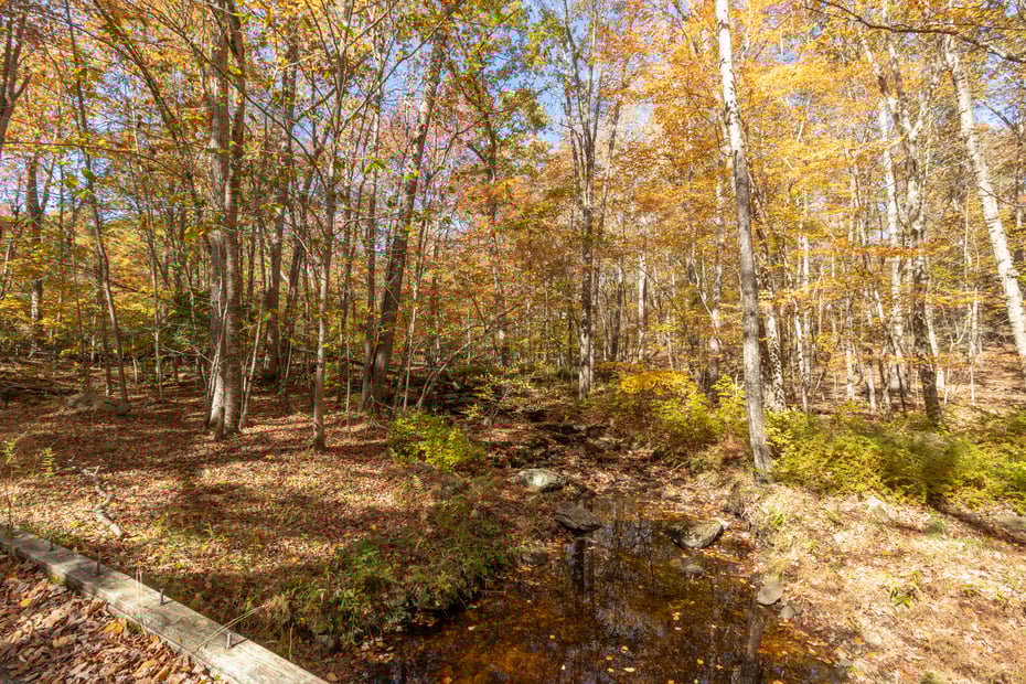 4 Laurel Lane Photo 10