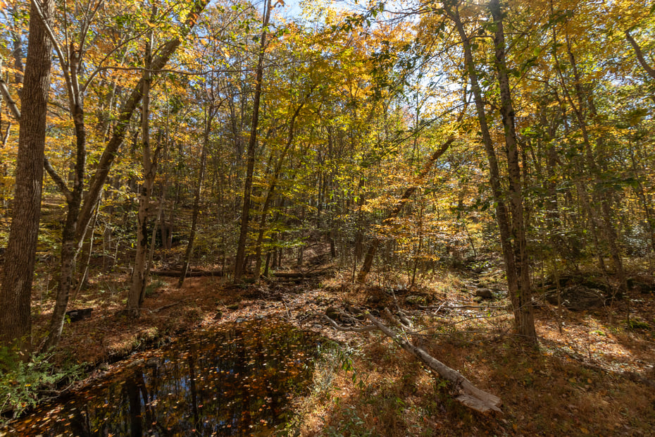 4 Laurel Lane Photo 13