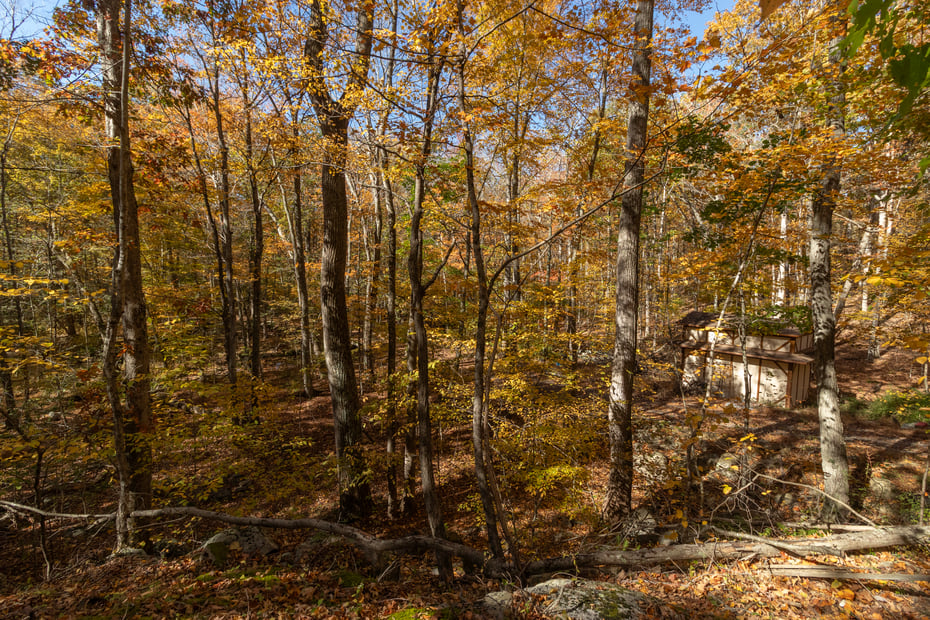 4 Laurel Lane Photo 29