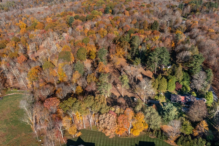 49 South Street Photo 3