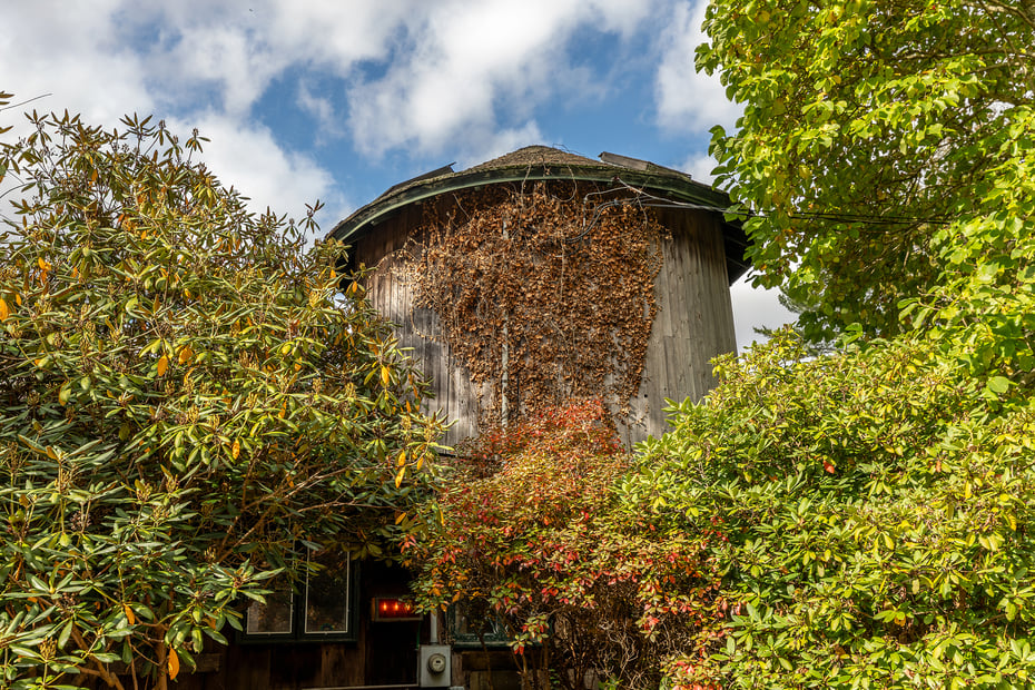 49 South Street Photo 4