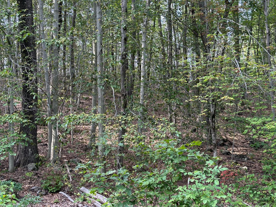 00 Above All Road Photo 2