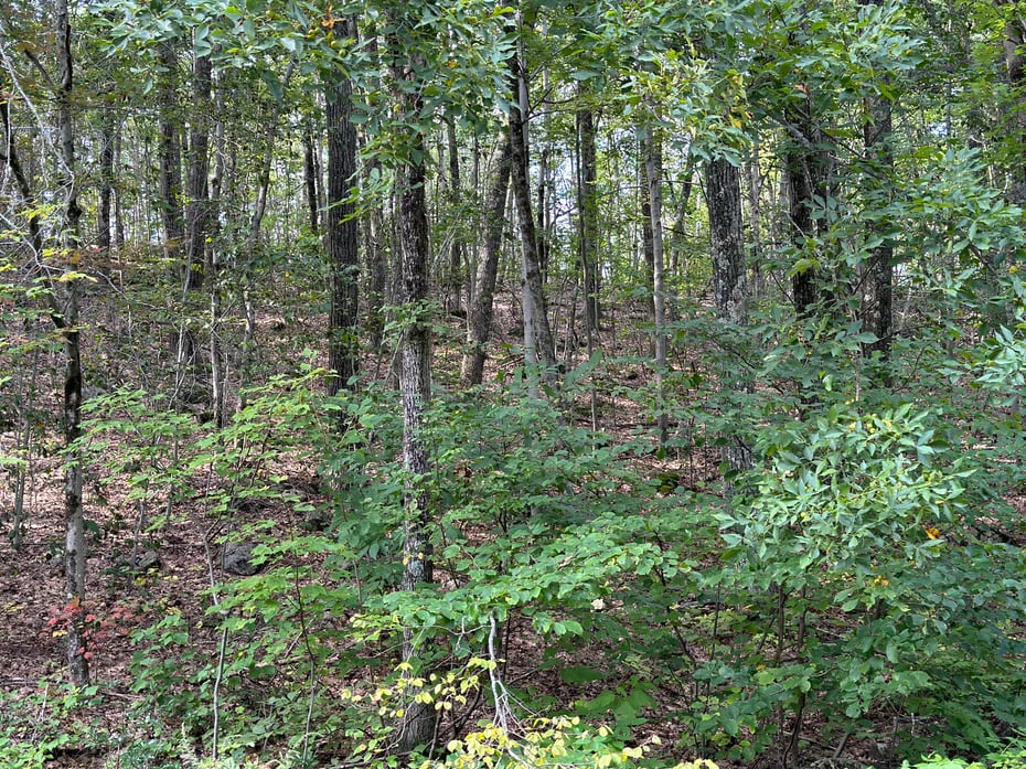 00 Above All Road Photo 4