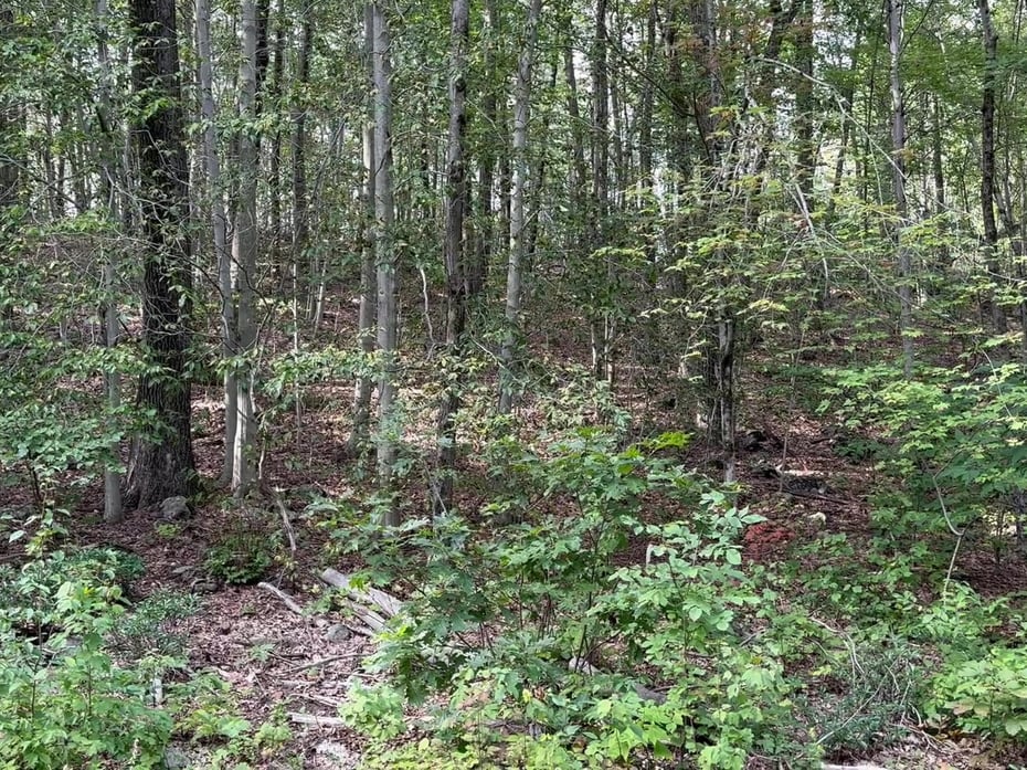 00 Above All Road Photo 6